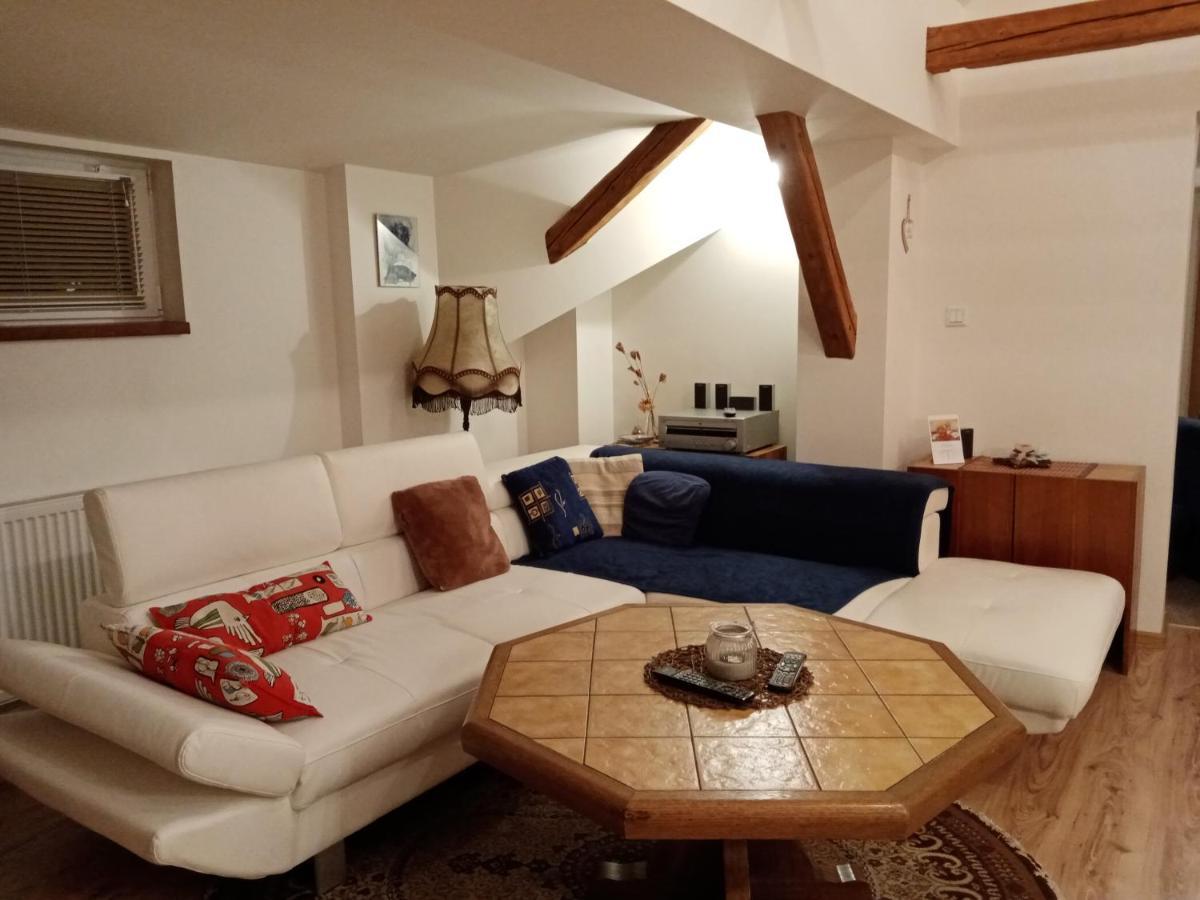 Apartment Krkonosska Tanvald Extérieur photo